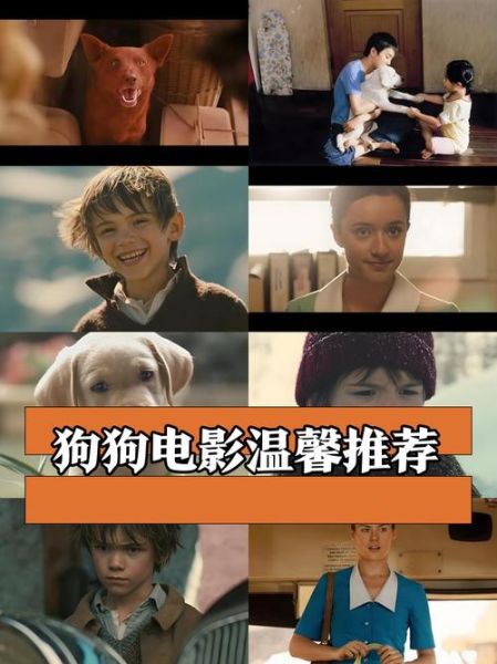 迅雷狗狗电影下载_迅雷狗狗还能用吗