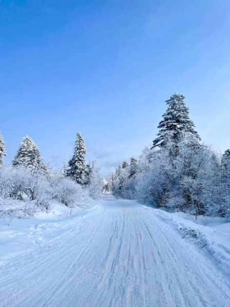冬天图片大全哪里找_冬天雪景图片怎么拍