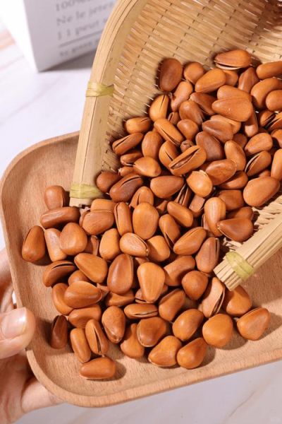 松子图片大全_如何挑选优质松子