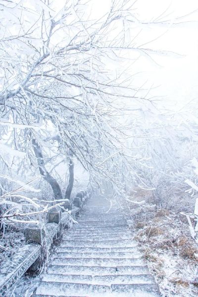 冬天图片大全哪里找_冬天雪景图片怎么拍