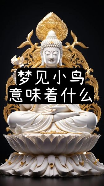 梦到大鸟是什么意思_梦见大鸟飞来飞去预示什么