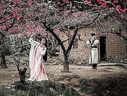 梦到桃树是什么意思_梦到桃树开花预示什么