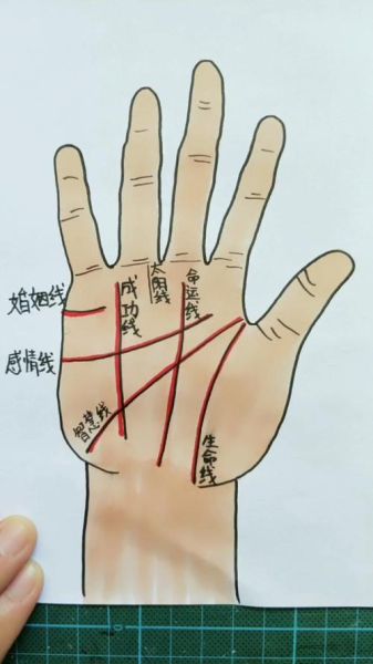手纹图片大全_手相图解怎么看