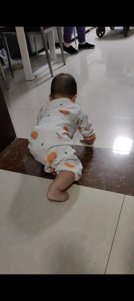 八个月宝宝不会爬怎么办_宝宝爬行训练视频