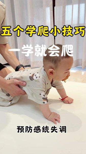 八个月宝宝不会爬怎么办_宝宝爬行训练视频