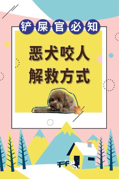 梦到恶犬是什么意思_被狗咬了怎么办