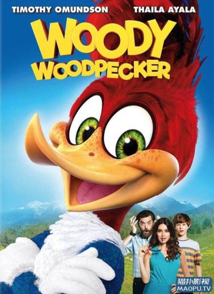 法国啄木鸟迅雷下载_如何找到高清资源