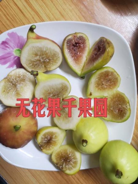 熟无花果图片大全_如何挑选成熟无花果