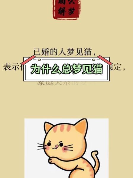 梦到猫是什么意思_梦见猫抓我代表什么