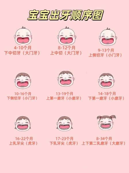 宝宝长牙后怎么护理_宝宝长牙期护理方法