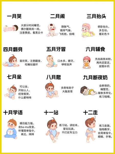 17个月宝宝发育标准_如何科学早教