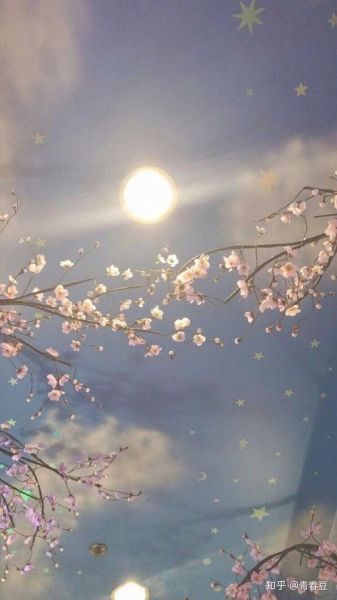 屏图片大全有哪些_屏图片大全怎么找