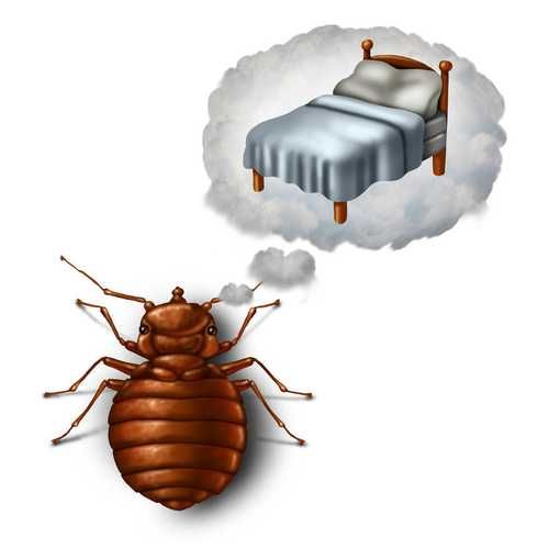 女人梦到自己拉大便是什么意思_梦境解析与心理暗示