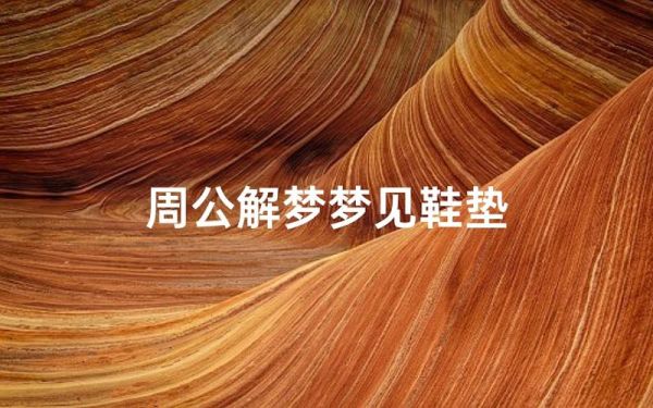 梦到鞋垫是什么意思_梦见鞋垫丢了怎么办