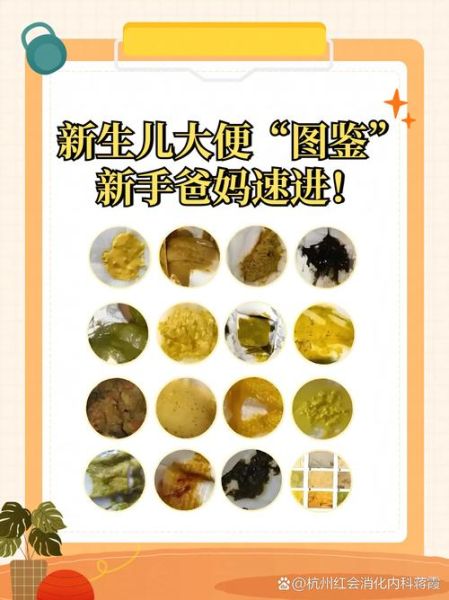 宝宝积食大便图怎么看_积食后大便颜色形状解析