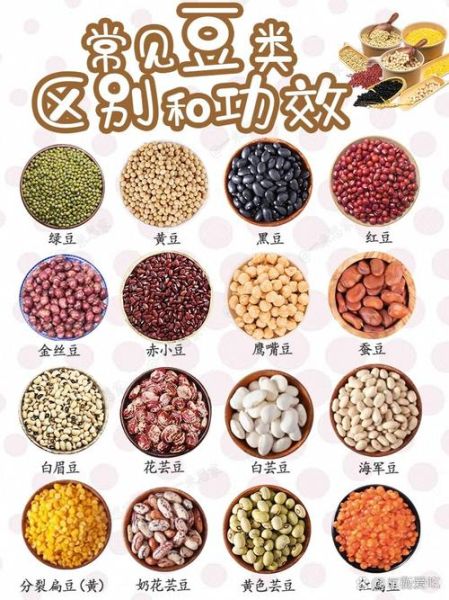 豆类图片大全大图_如何分辨常见豆类品种