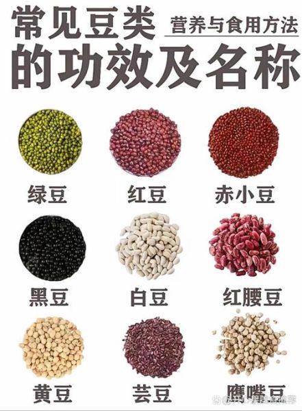 豆类图片大全大图_如何分辨常见豆类品种