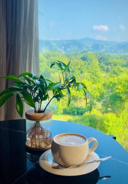 悠闲的图片大全哪里找_如何下载高清无水印