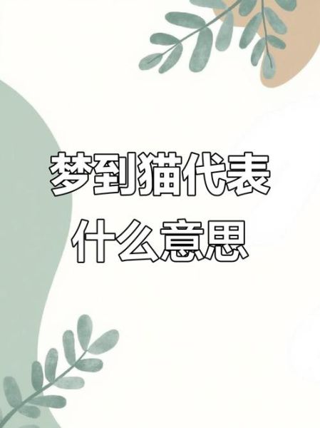 梦到买猫是什么意思_梦到买猫预示什么