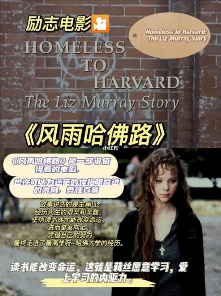 风雨哈佛路迅雷下载_哪里能看高清完整版