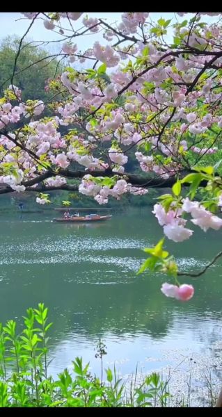 优美图片大全哪里找_如何免费下载高清图