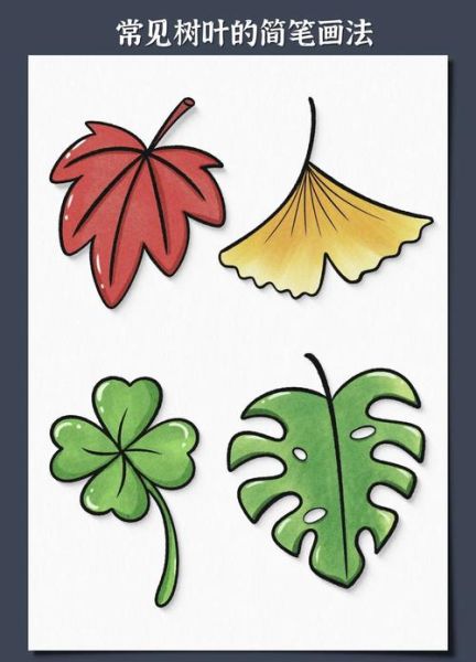 叶子画图片大全_如何画叶子简单又好看