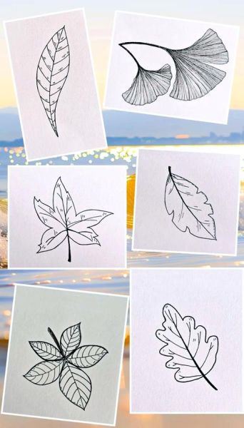 叶子画图片大全_如何画叶子简单又好看