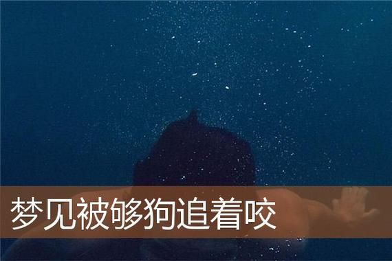 梦见狗追我是什么意思_被狗追咬怎么化解