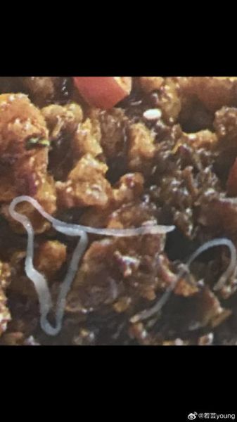 面条虫图片大全_面条虫长什么样