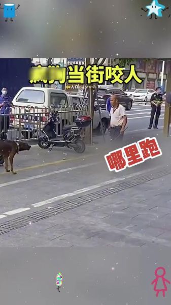 疯狗图片大全_疯狗为什么会咬人