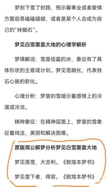 梦到白雪是什么意思_梦见下雪预示什么