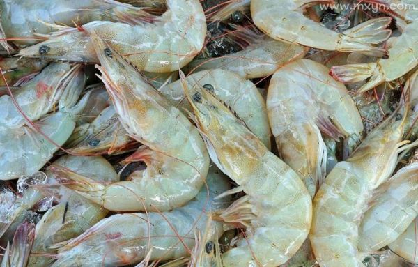 梦到大虾是什么意思_梦到大虾是吉兆吗