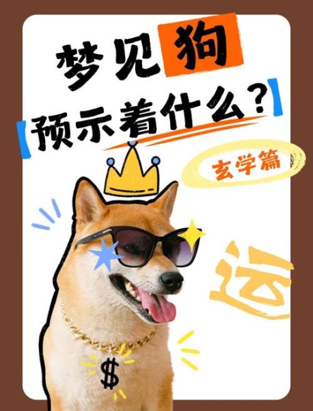 梦到捡到狗是什么意思_梦到捡到狗预示什么