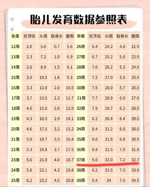 37周胎儿体重标准_正常范围是多少斤