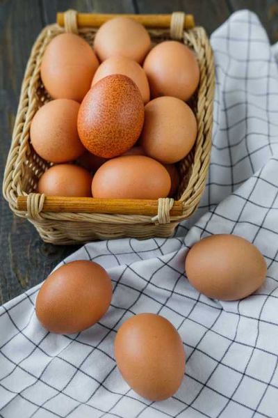 鸡蛋图片大全大图_鸡蛋高清图哪里找