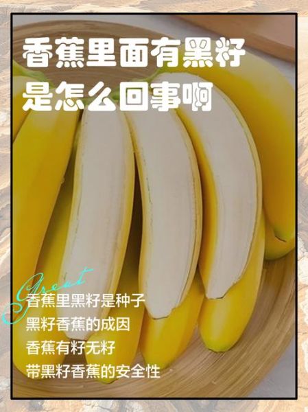 梦到香蕉是什么意思_梦见香蕉是吉兆吗