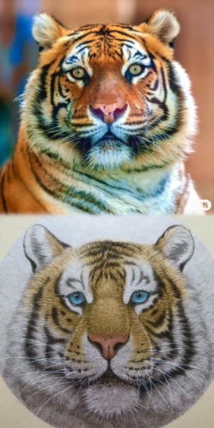 老虎头图片大全_高清壁纸怎么找