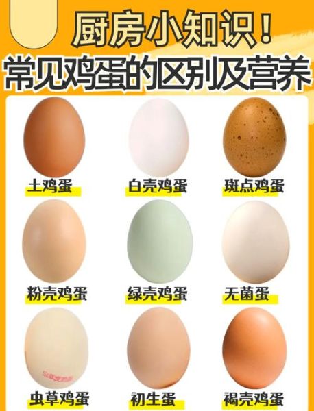 鸡蛋图片大全_鸡蛋品种怎么区分