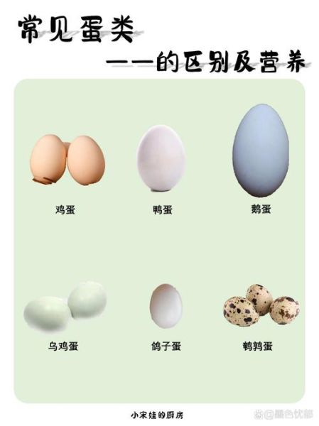 鸡蛋图片大全_鸡蛋品种怎么区分