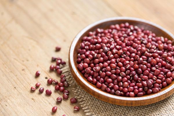 红豆图片大全_红豆有哪些品种