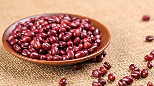 红豆图片大全_红豆有哪些品种