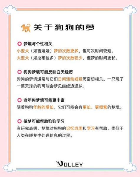 梦到打死狗是什么意思_梦见打死狗预示什么