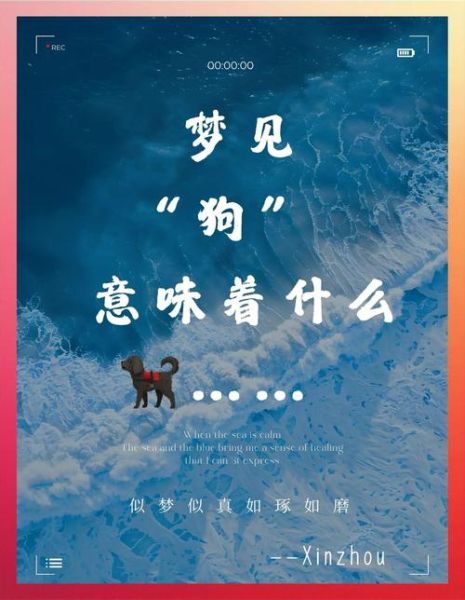 梦到追狗是什么意思_梦到追狗预示什么