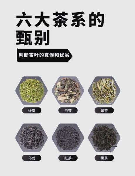 茶叶大全图片有哪些_如何鉴别茶叶品质