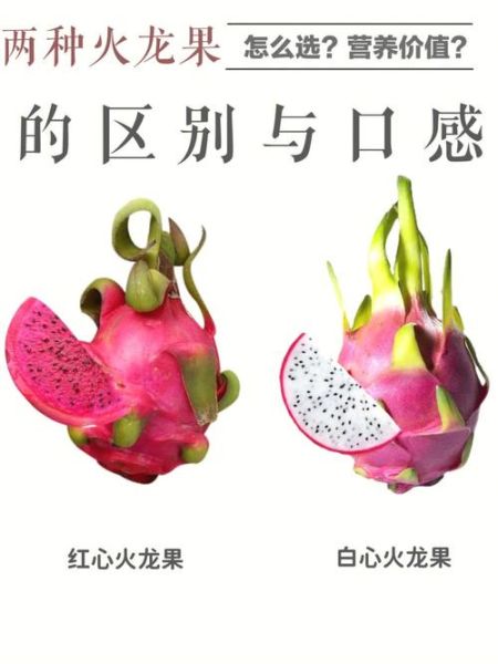 火龙果图片大全大图_火龙果品种怎么区分