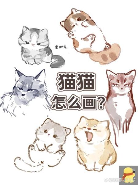 画猫图片大全_如何快速找到高清素材