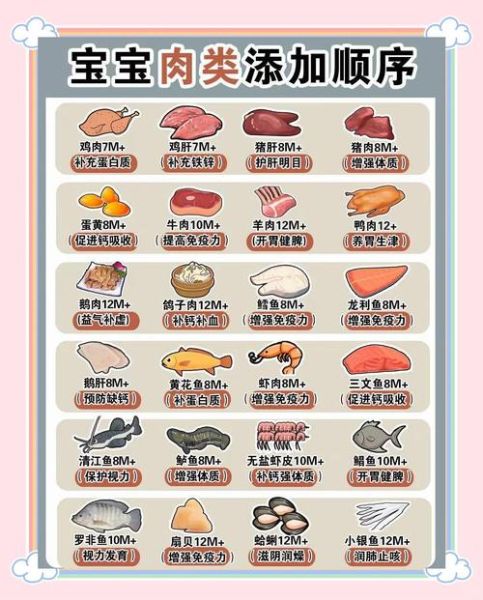 宝宝开荤吃什么好_第一次吃肉怎么选