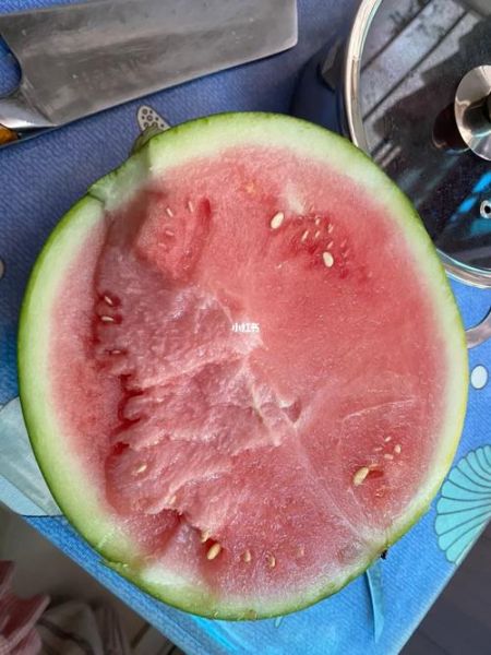 西瓜没熟怎么办_没熟的西瓜图片大全