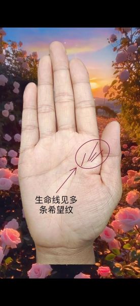 手心图片大全_手心纹路怎么看