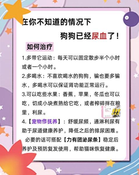 梦到狗尿是什么意思_如何化解